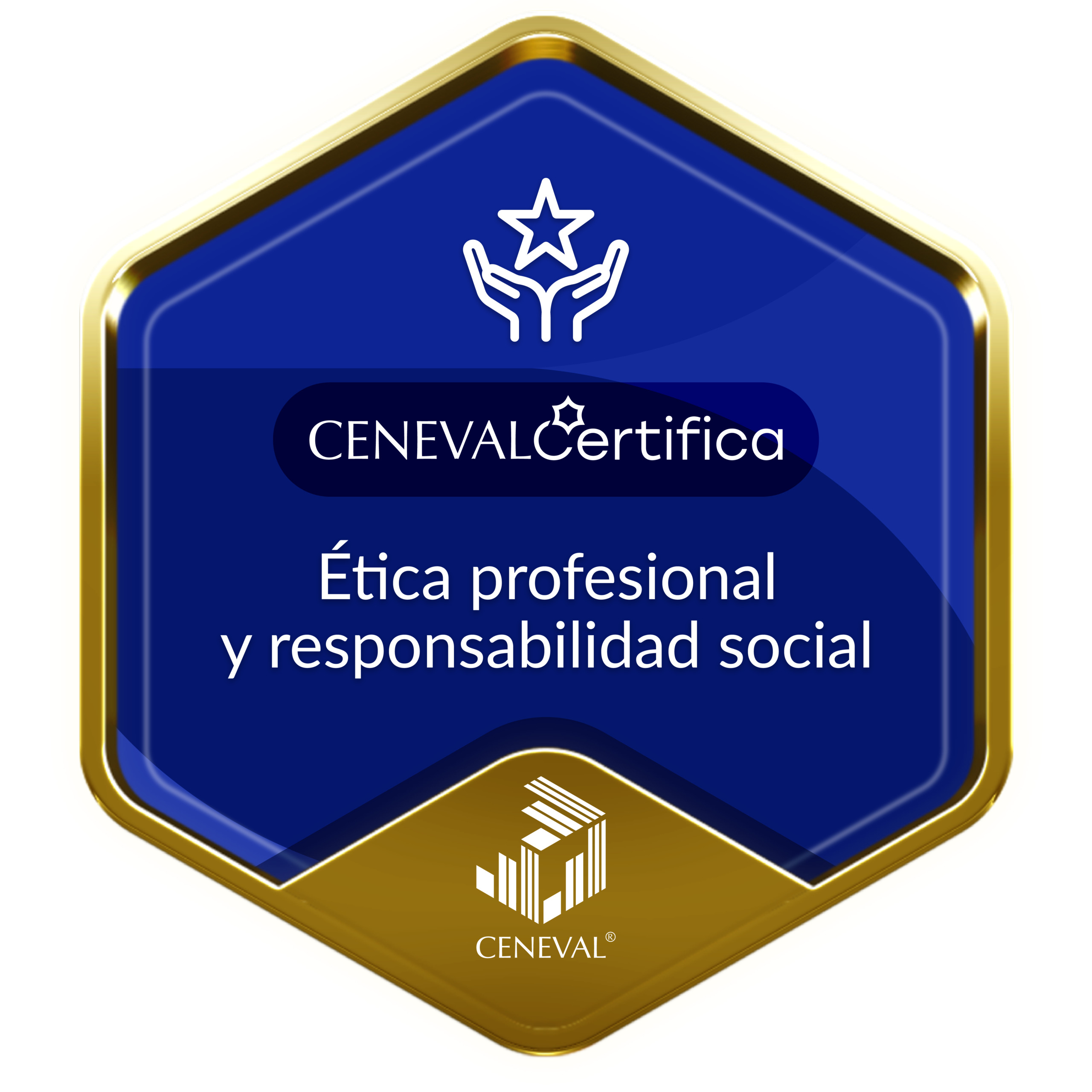 Ética profesional y responsabilidad social
