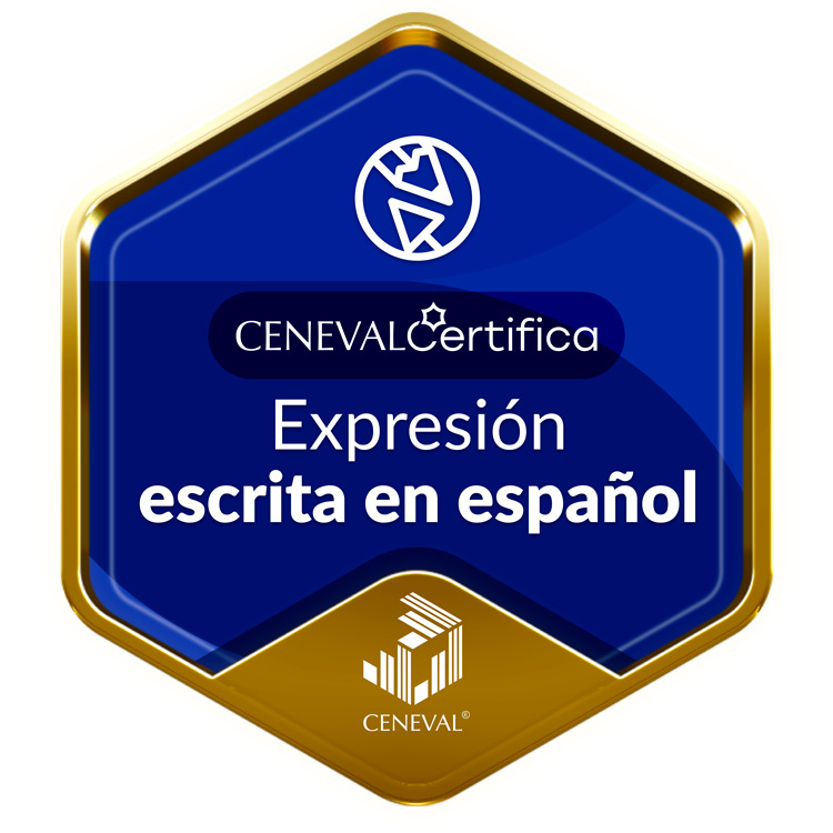 Expresión escrita en español
