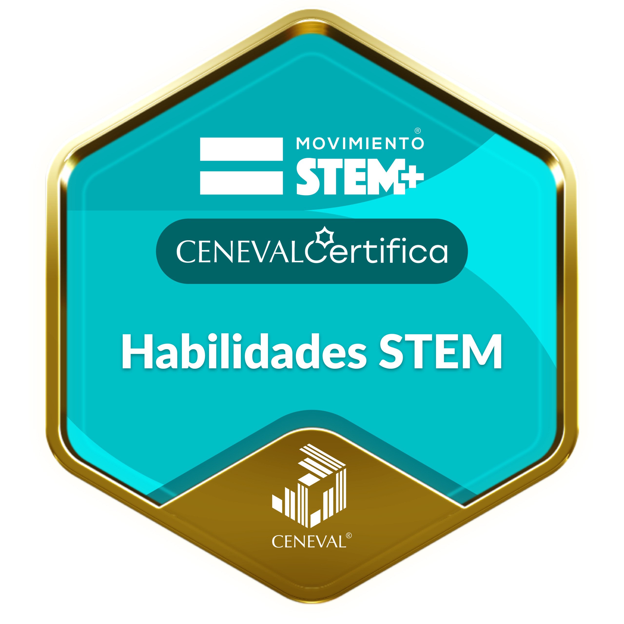 Habilidades STEM