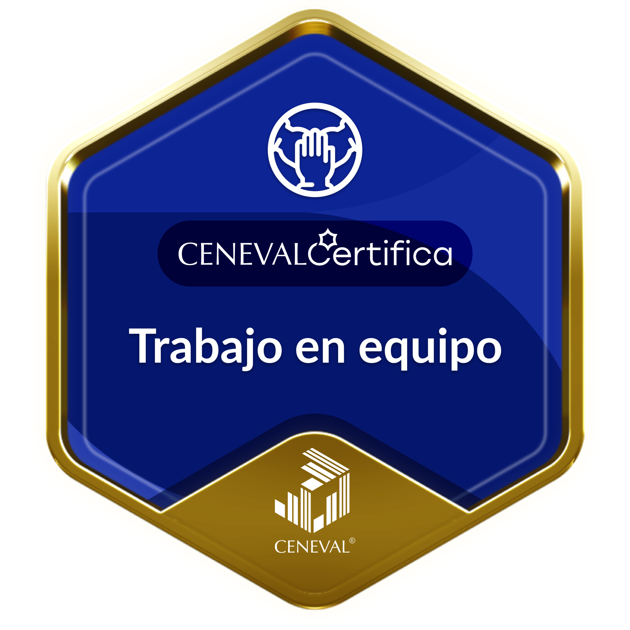 Trabajo en equipo
