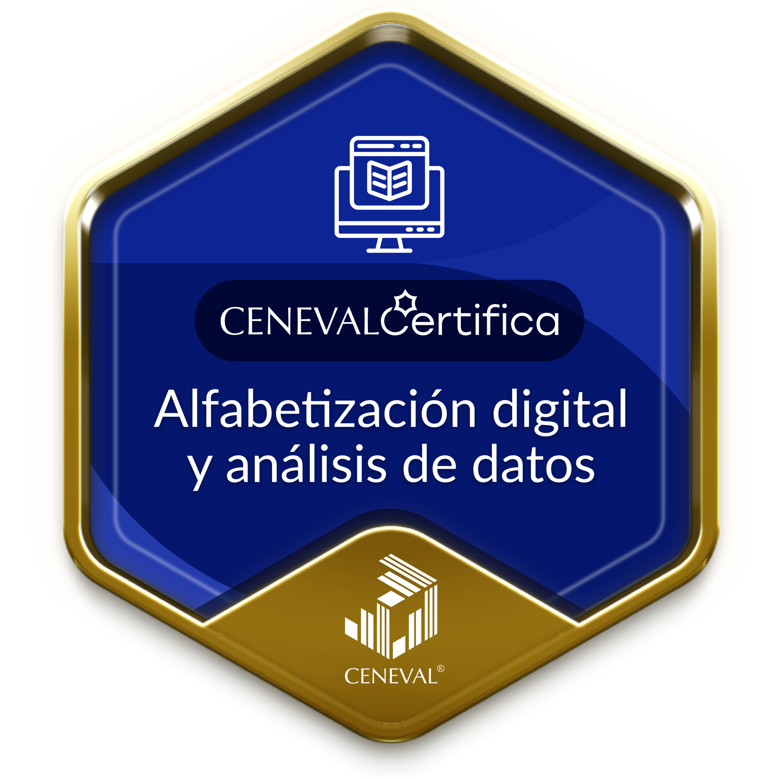 Alfabetización digital y análisis de datos