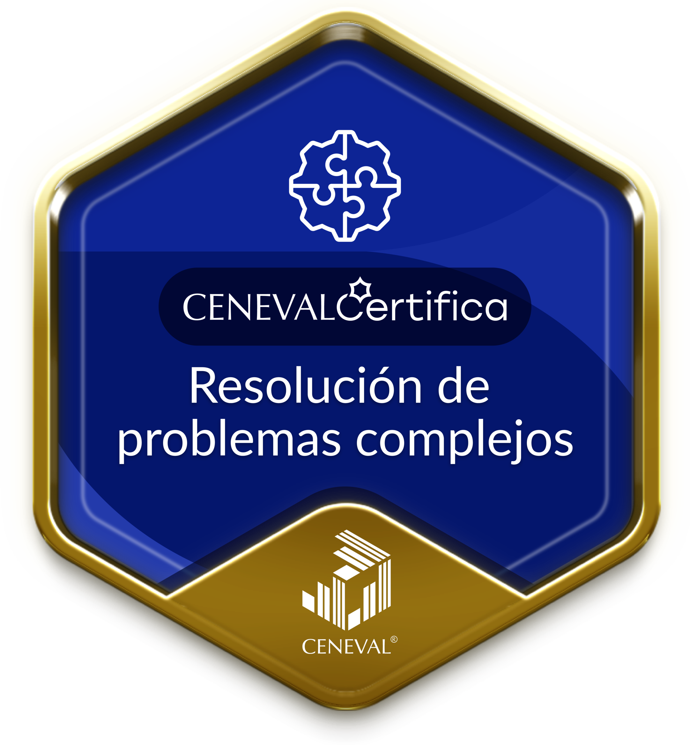 Resolución de problemas complejos