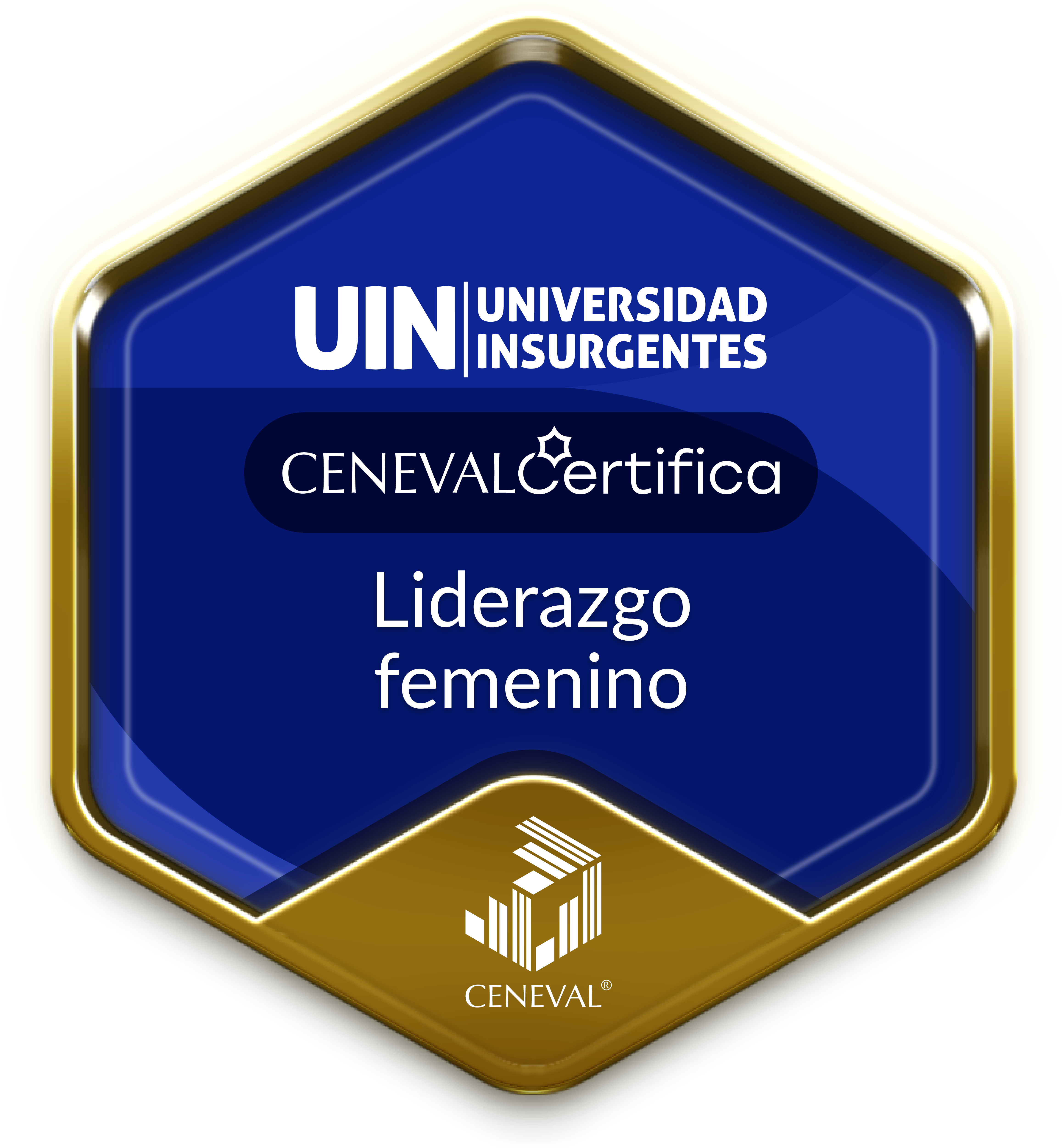 Liderazgo femenino