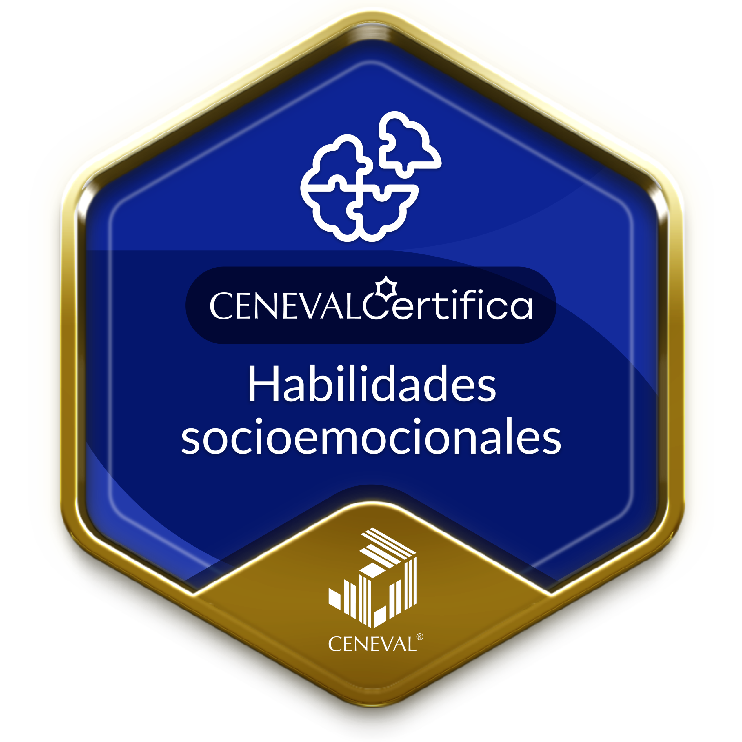Habilidades socioemocionales